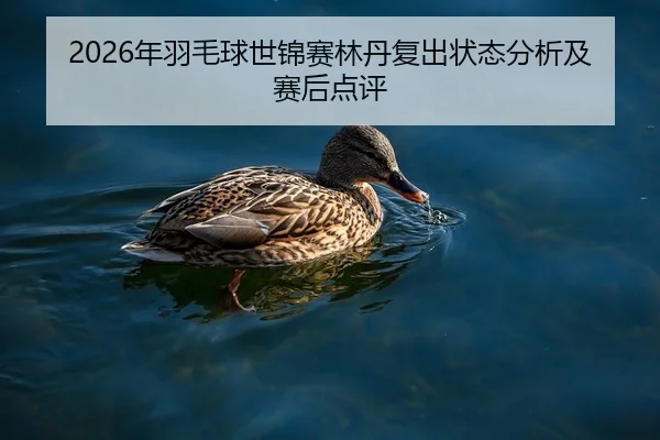 2026年羽毛球世锦赛林丹复出状态分析及赛后点评