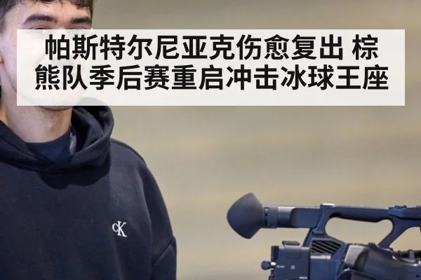 帕斯特尔尼亚克伤愈复出 棕熊队季后赛重启冲击冰球王座